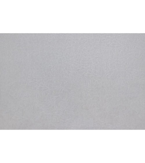 Hot Embossed wallpaper on Non-Woven Base Vinil Splash TFSH 5-1350 Gray-Purple 10,05 x 1,06 m