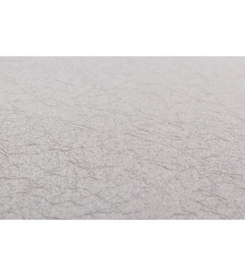 Vinyl Foam wallpaper on non-woven base Vinil Painted Wallpaper PRO 3 - Light1 Brown 10,05 x 1,06 m