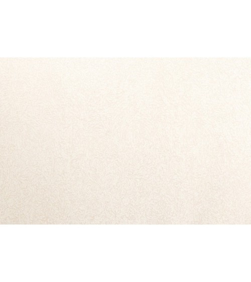 Vinyl Foam wallpaper on non-woven base Vinil ARABELLA KFV 2-1628 Sandy 10,05 x 0,53 m