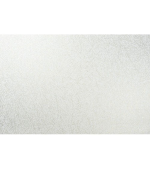 Vinyl Foam wallpaper on non-woven base Vinil Klein  DHS-1412/1 White-Golden-Pearl 10,05 x 1,06 m