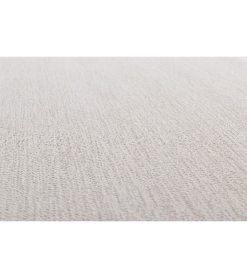 Vinyl Foam wallpaper on non-woven base Vinil Aturina DHN-1496/3 Sandy 10,05 x 1,06 m
