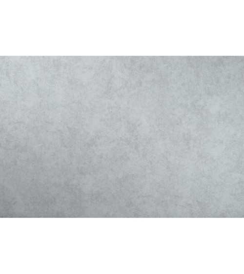 Hot Embossed wallpaper on Non-Woven Base Vinil Fringe SHT 4-1469 Light-Gray 10,05 x 1,06 m