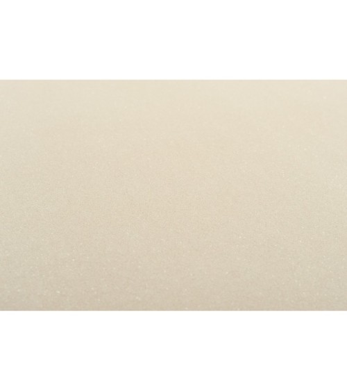 Hot Embossed wallpaper on Non-Woven Base Vinil Odyssey SHT 4-1561 Beige 10,05 x 1,06 m