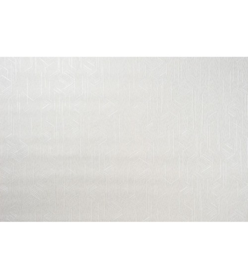 Vinyl Foam wallpaper on non-woven base Vinil Shamani  DHS-1478/2 Gray-White 10,05 x 1,06 m