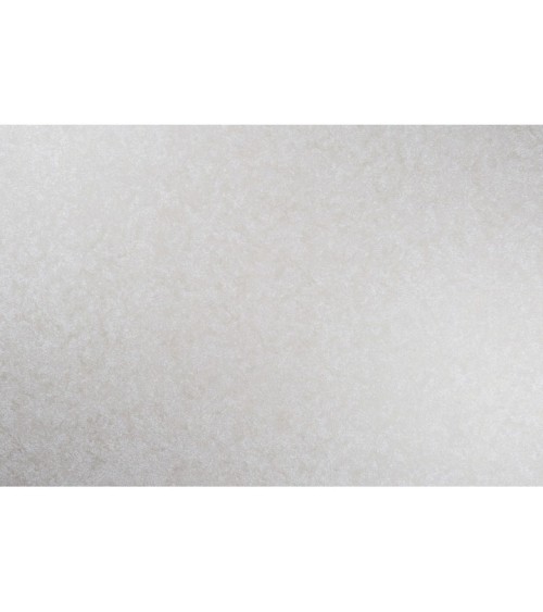 Vinyl Foam wallpaper on non-woven base Vinil Aqua DHN-1642/3 Cold-Beige 10,05 x 1,06 m