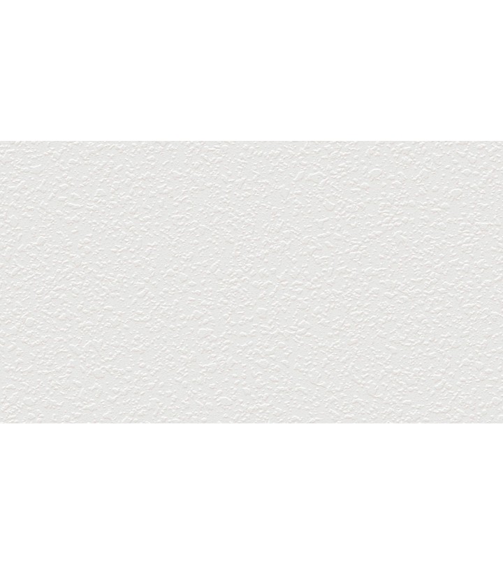 689905 (1,06)