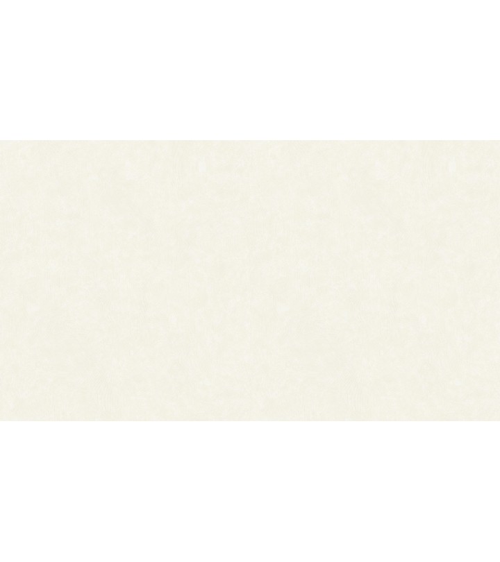 502105 (1,06)