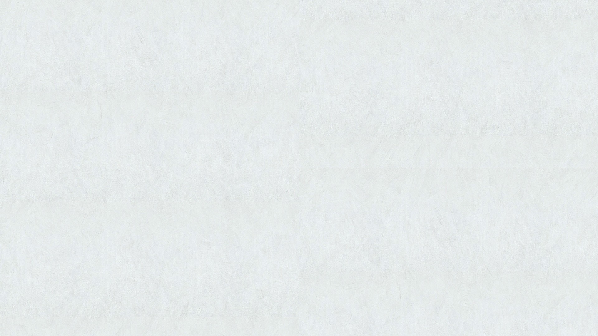 502310 (1,06)