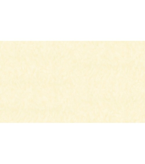 502303 (1,06)