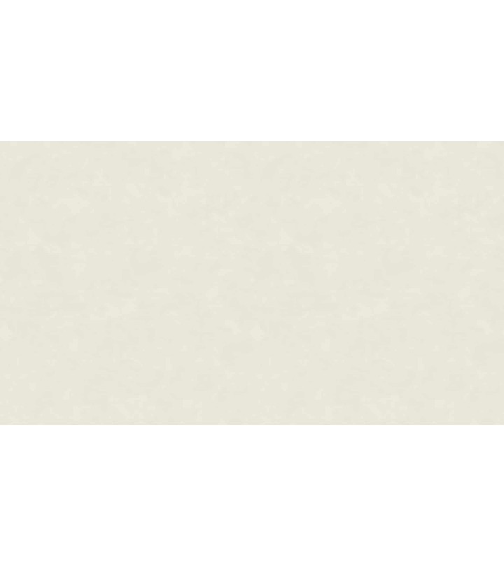 507810 (1,06)