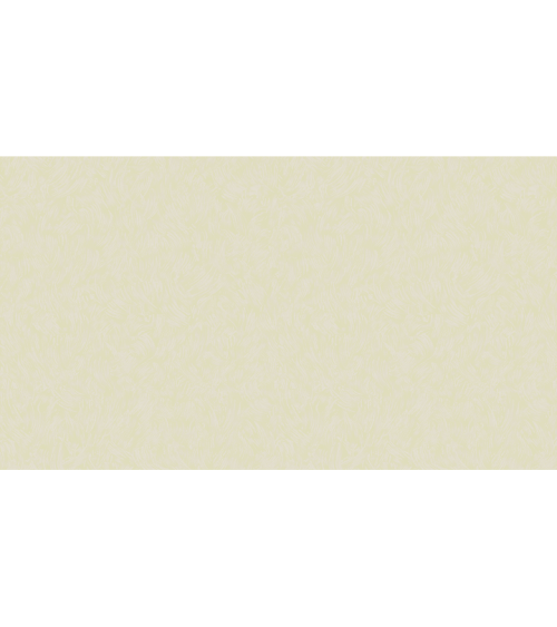 255704 (1,06)
