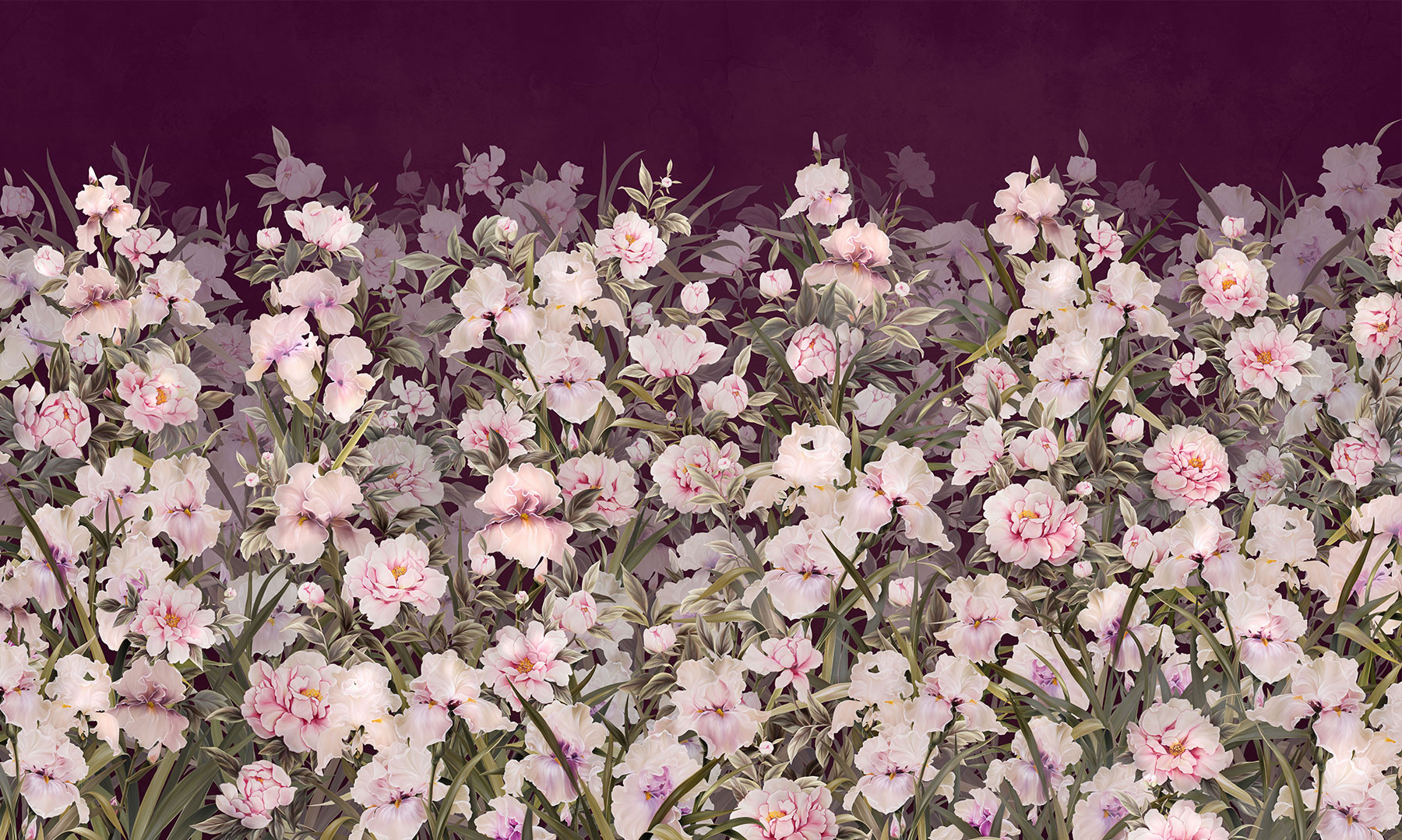 silk-iris-5