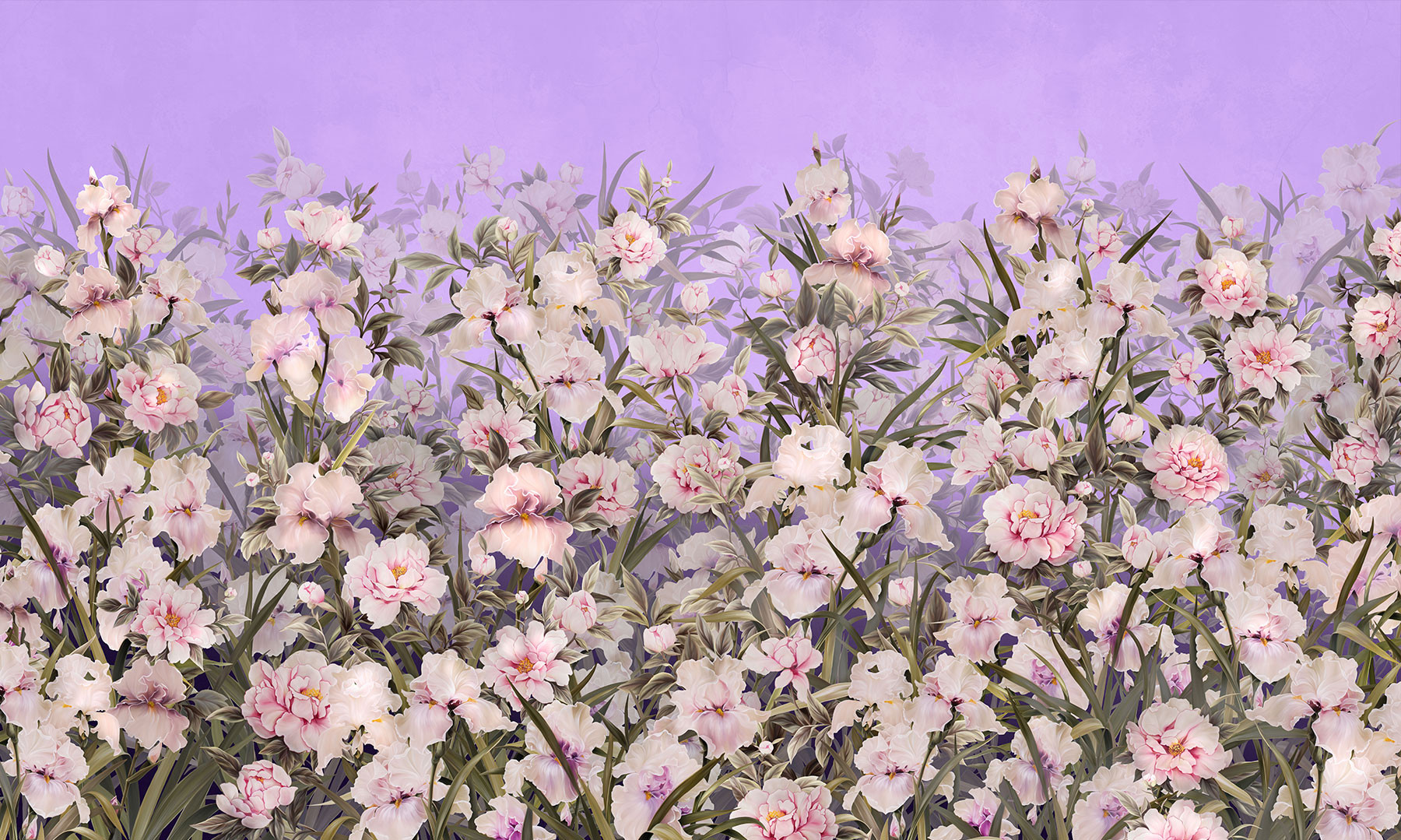 silk-iris-5