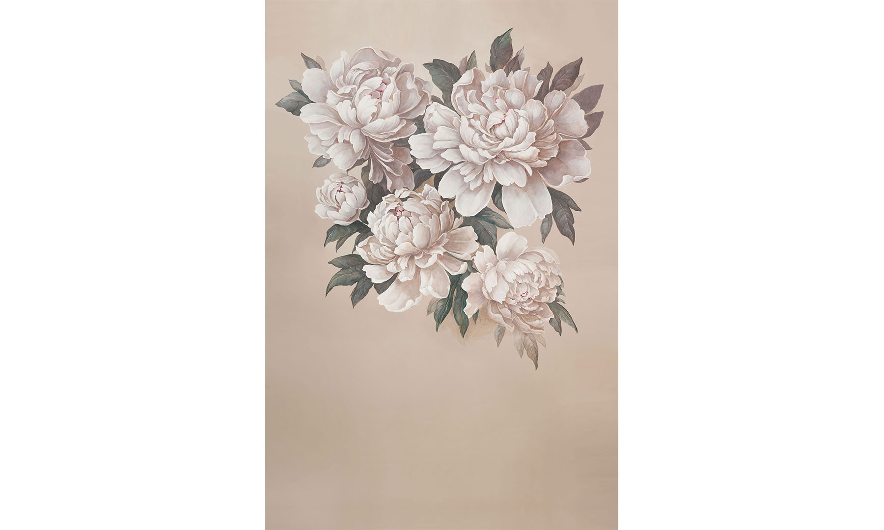 Peony Magic 3
