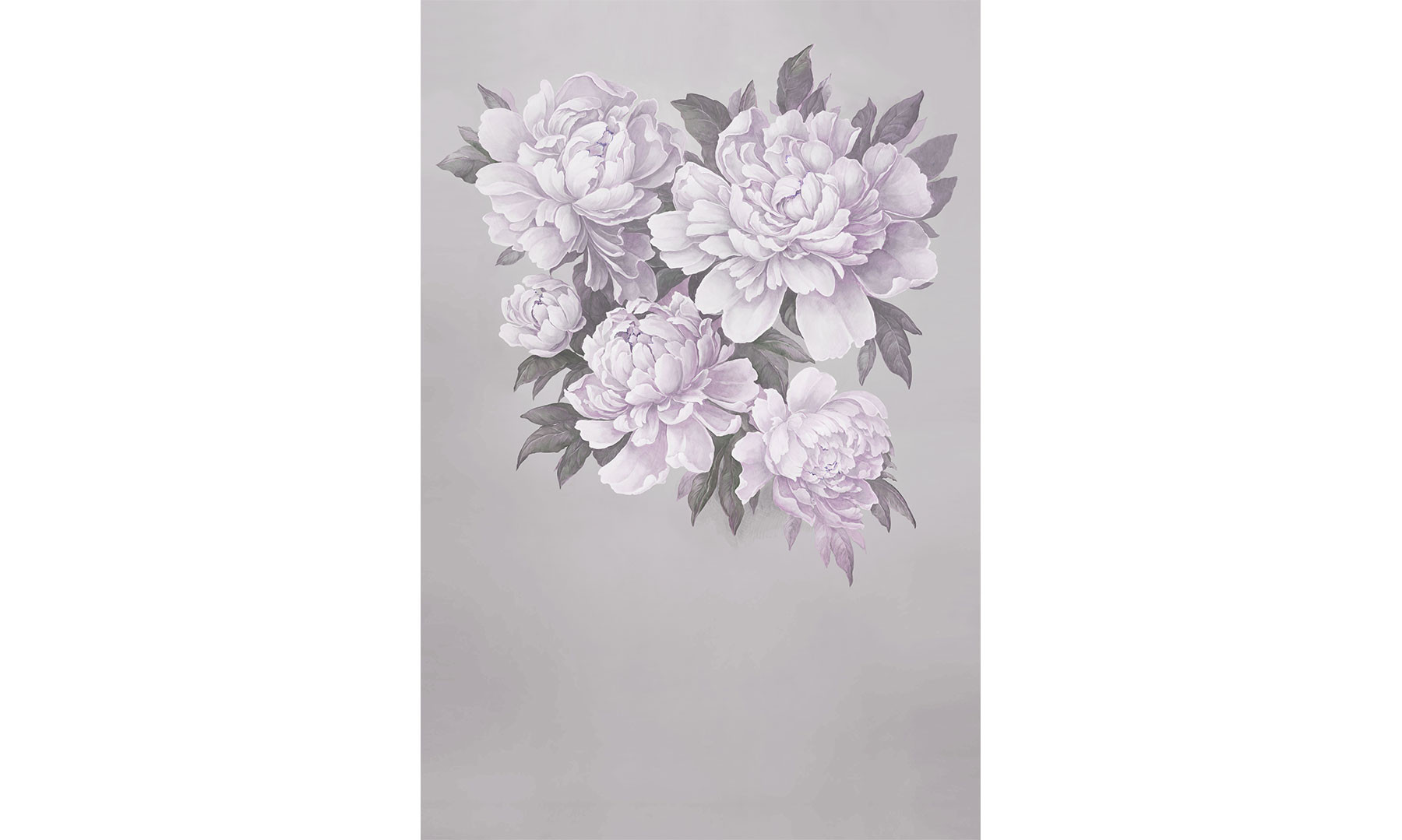 Peony Magic 3