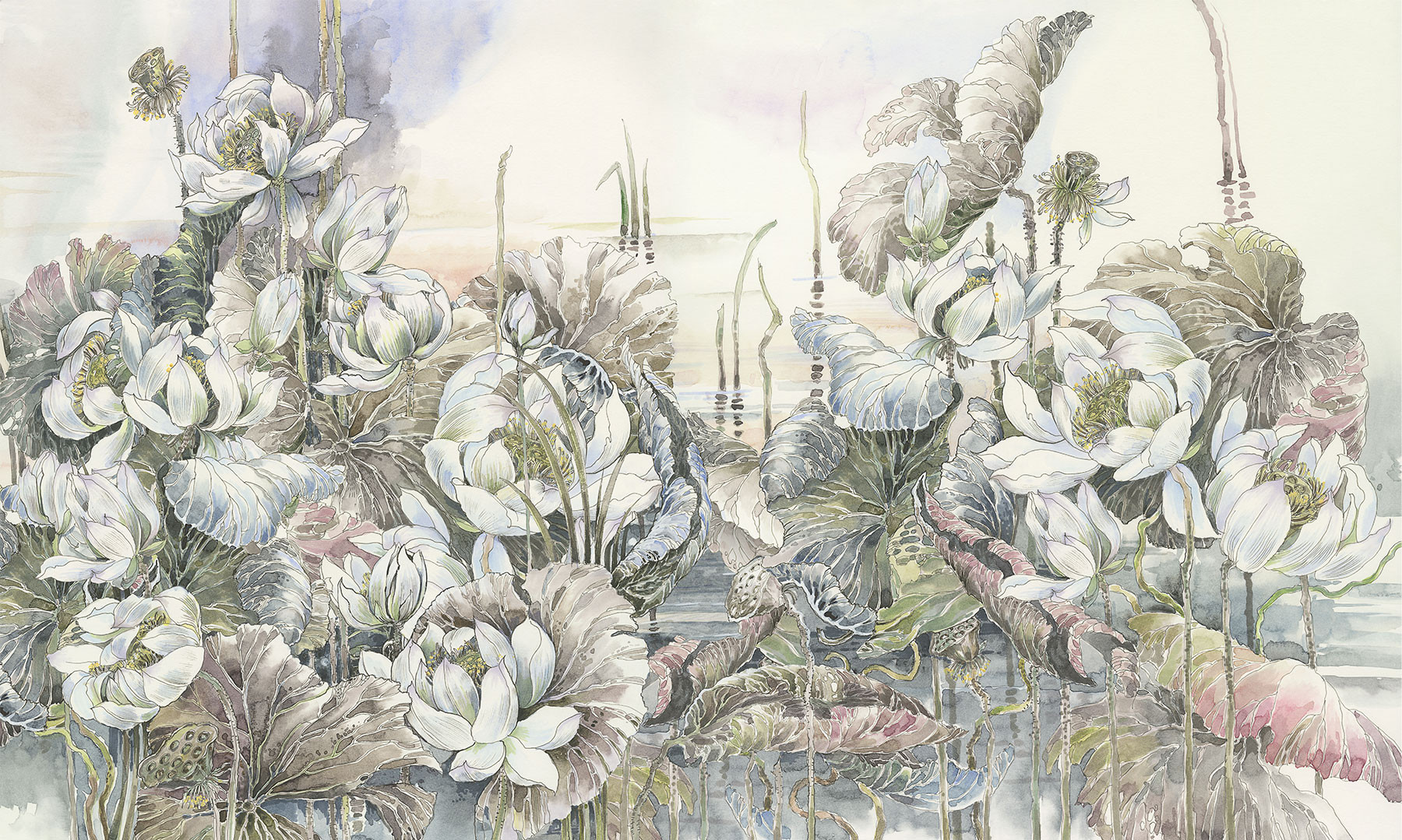 Lotuses at Dawn 1