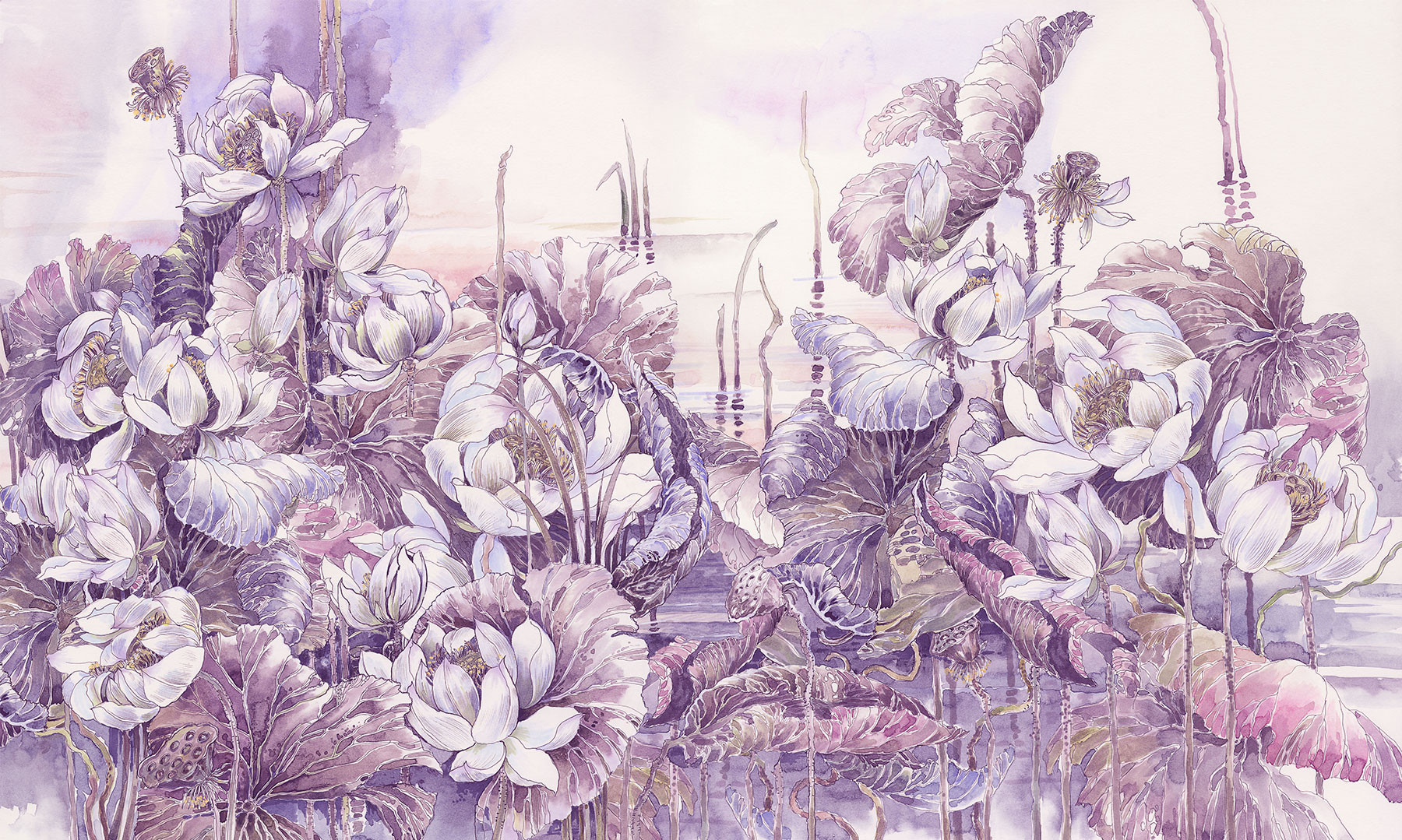 Lotuses at Dawn 1
