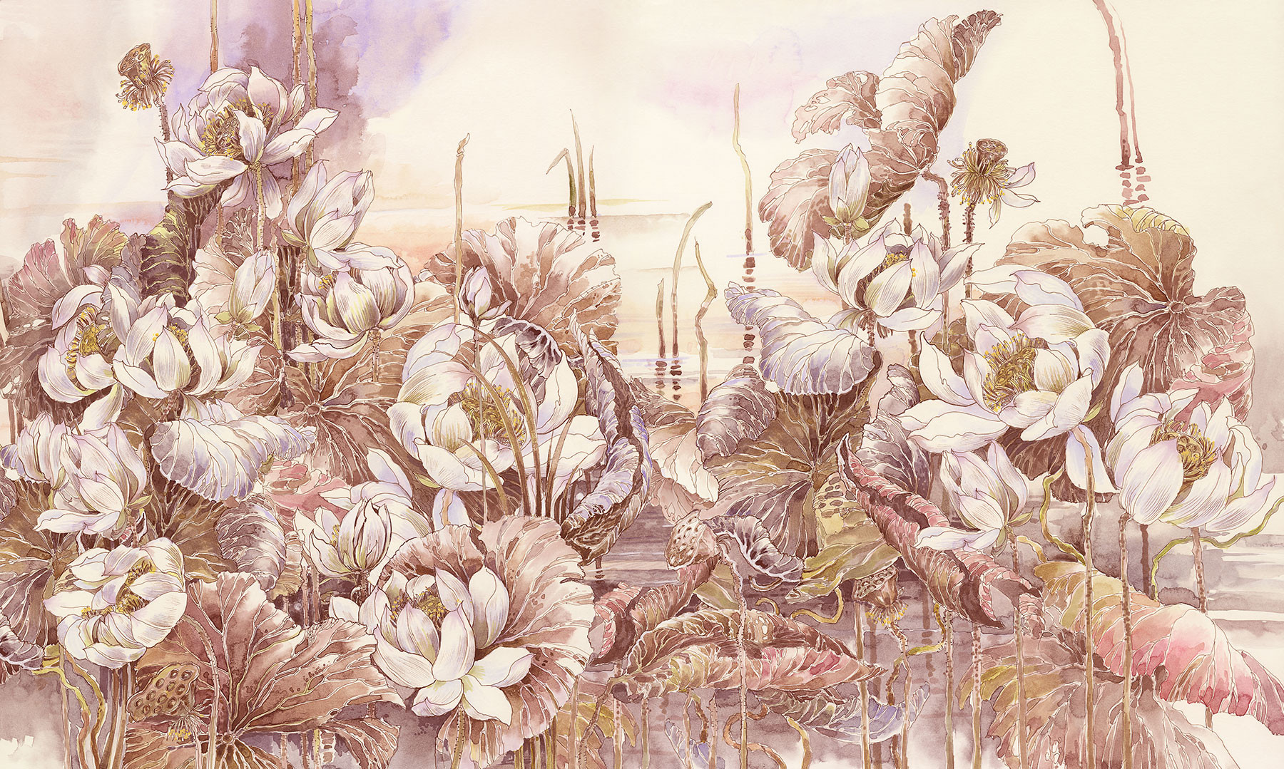 Lotuses at Dawn 1