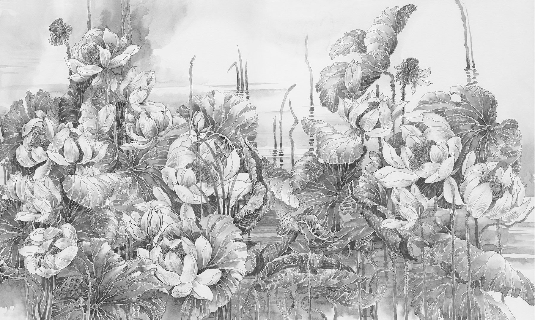 Lotuses at Dawn 1