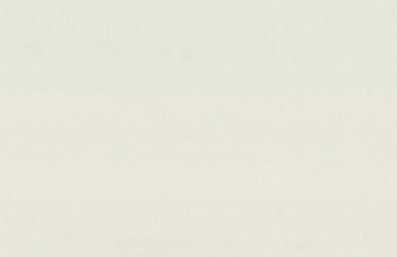 Hot Embossed wallpaper on Non-Woven Base Vinil Persia PVIP 1-0875 White 10,05 x 1,06 m