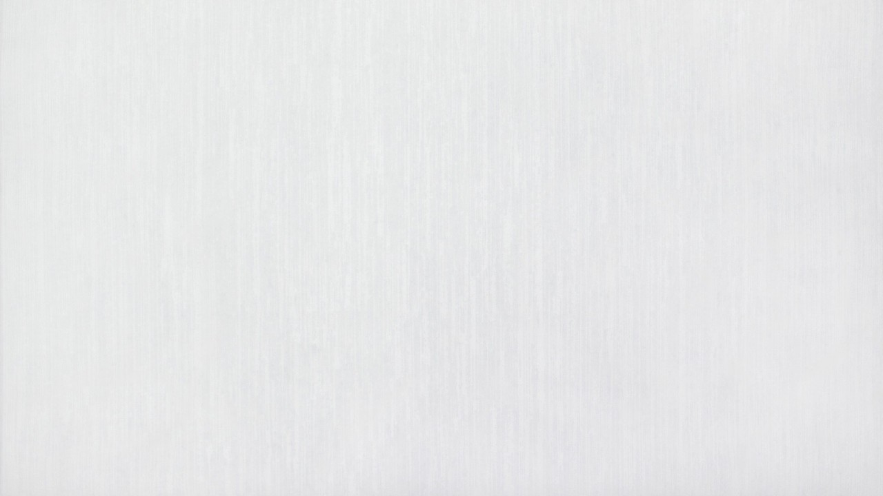 Vinyl Foam wallpaper on non-woven base Vinil Painted Wallpaper РЎ-18 White 25 x 1,06 m