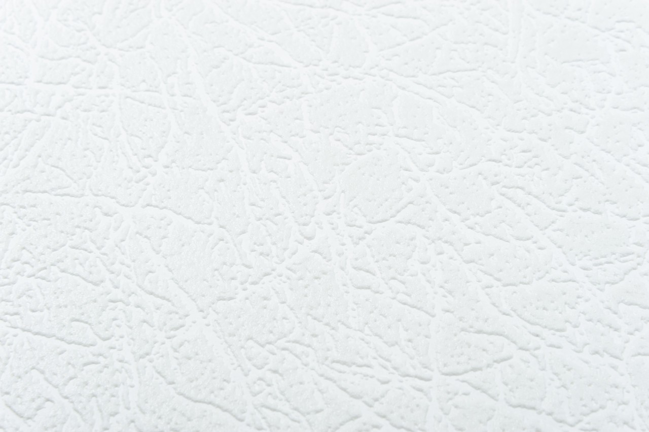 Vinyl Foam wallpaper on non-woven base Vinil Painted Wallpaper РЎ-108 White 25 x 1,06 m