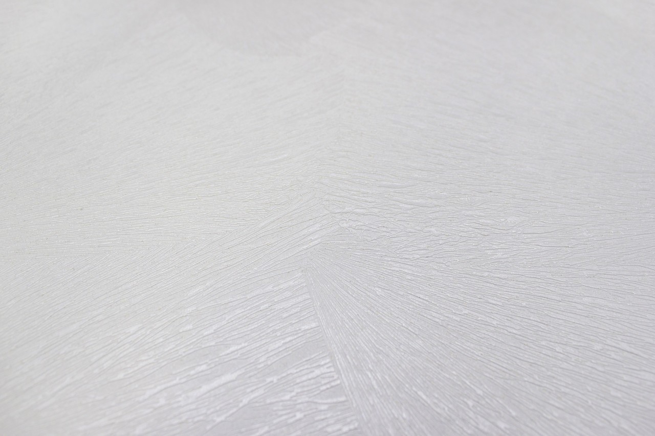 Hot Embossed wallpaper on Non-Woven Base Vinil Puma SHT 2-1467 Light-Gray 10,05 x 1,06 m
