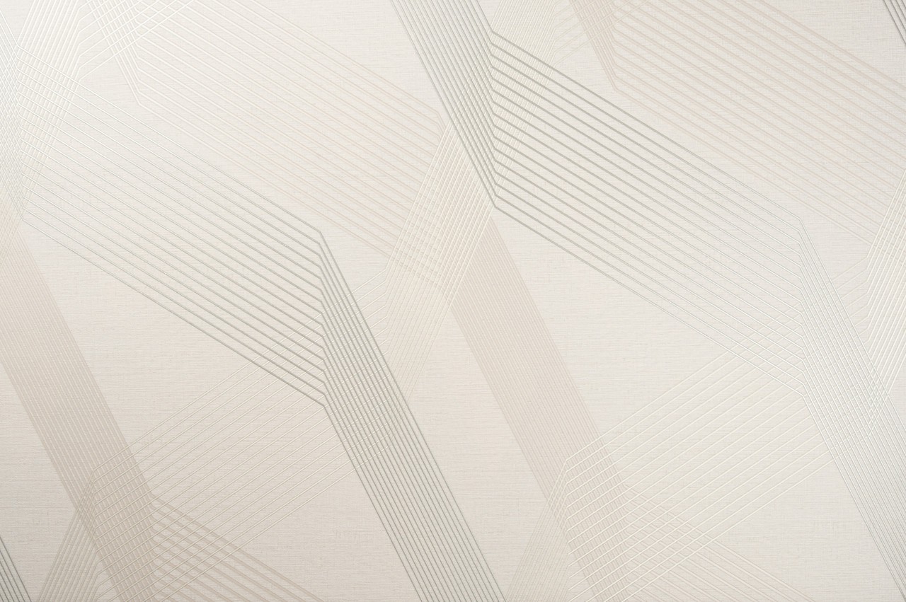 Hot Embossed wallpaper on Non-Woven Base Vinil Fringe TFSH 3-1431 Cold-Beige 10,05 x 1,06 m