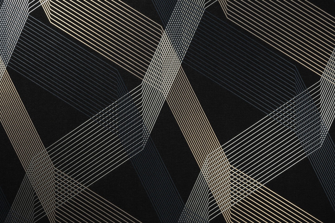 Hot Embossed wallpaper on Non-Woven Base Vinil Fringe TFSH 7-1431 Black 10,05 x 1,06 m