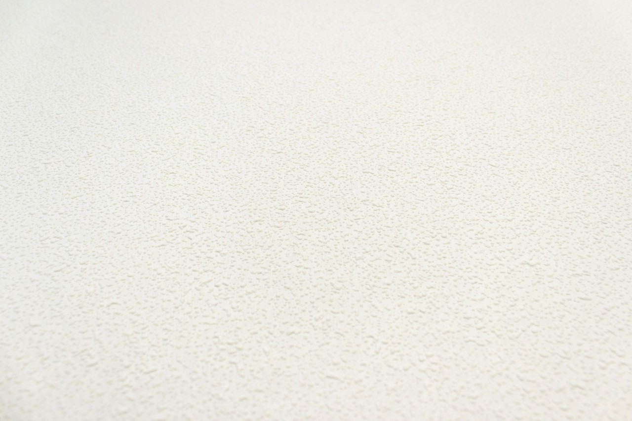 Vinyl Foam wallpaper on non-woven base Vinil Painted Wallpaper PRO 2-10 Snowball White 10,05 x 1,06 m