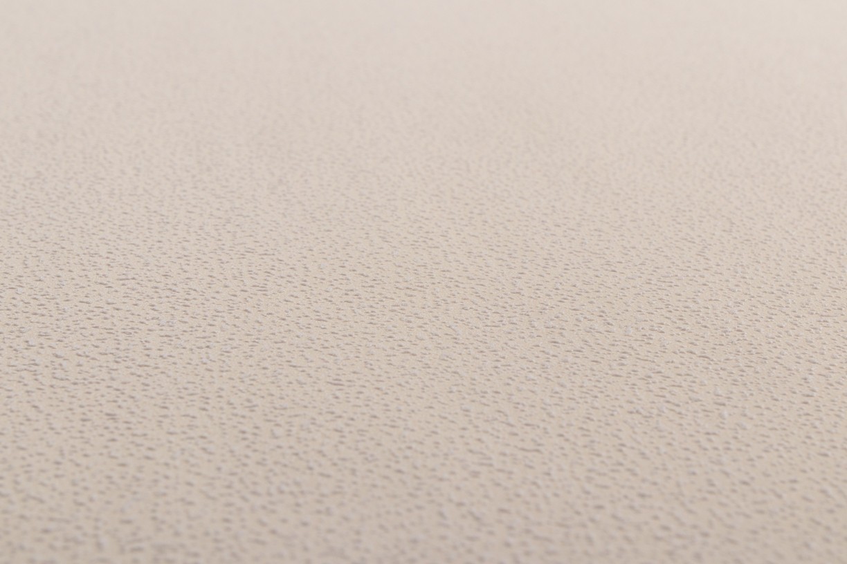 Vinyl Foam wallpaper on non-woven base Vinil Painted Wallpaper PRO 1 - Light2 Sandy 10,05 x 1,06 m
