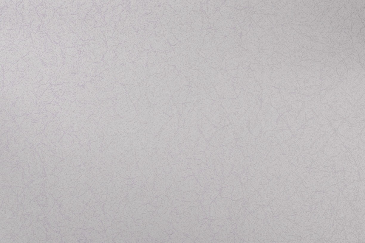 Vinyl Foam wallpaper on non-woven base Vinil Painted Wallpaper PRO 3 - Light1 Brown 10,05 x 1,06 m