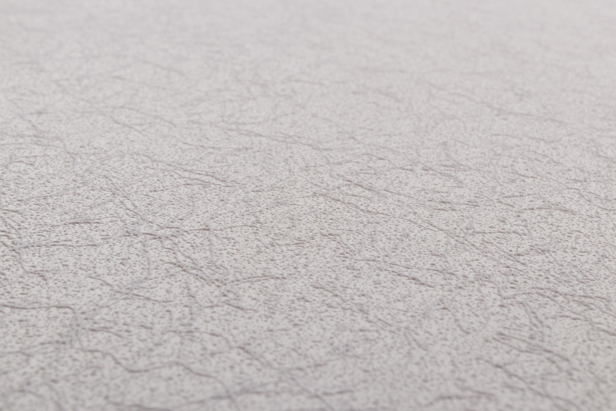 Vinyl Foam wallpaper on non-woven base Vinil Painted Wallpaper PRO 3 - Light1 Brown 10,05 x 1,06 m