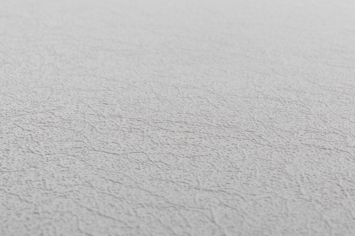 Vinyl Foam wallpaper on non-woven base Vinil Painted Wallpaper PRO 3 - Light2 Light-Gray 10,05 x 1,06 m