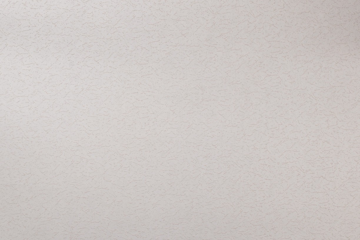 Vinyl Foam wallpaper on non-woven base Vinil Painted Wallpaper PRO 4 - Light1 White 10,05 x 1,06 m