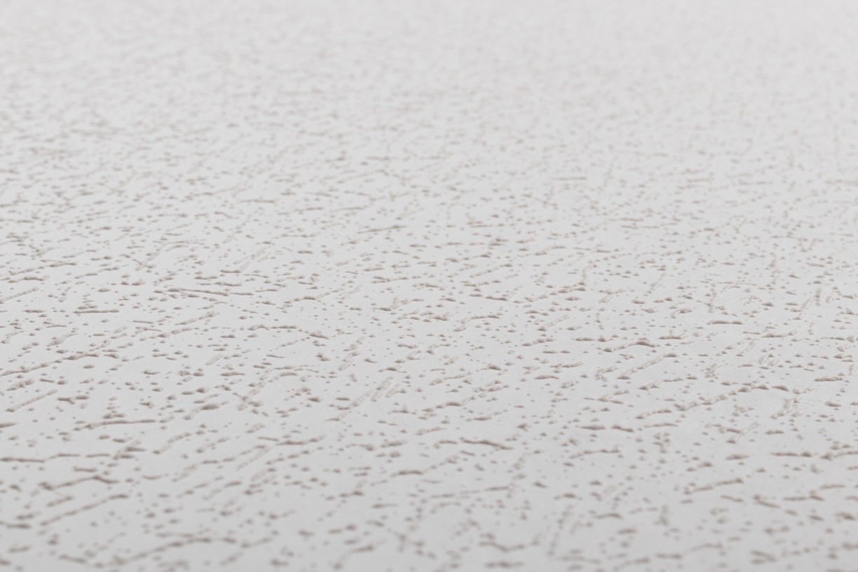 Vinyl Foam wallpaper on non-woven base Vinil Painted Wallpaper PRO 4 - Light1 White 10,05 x 1,06 m