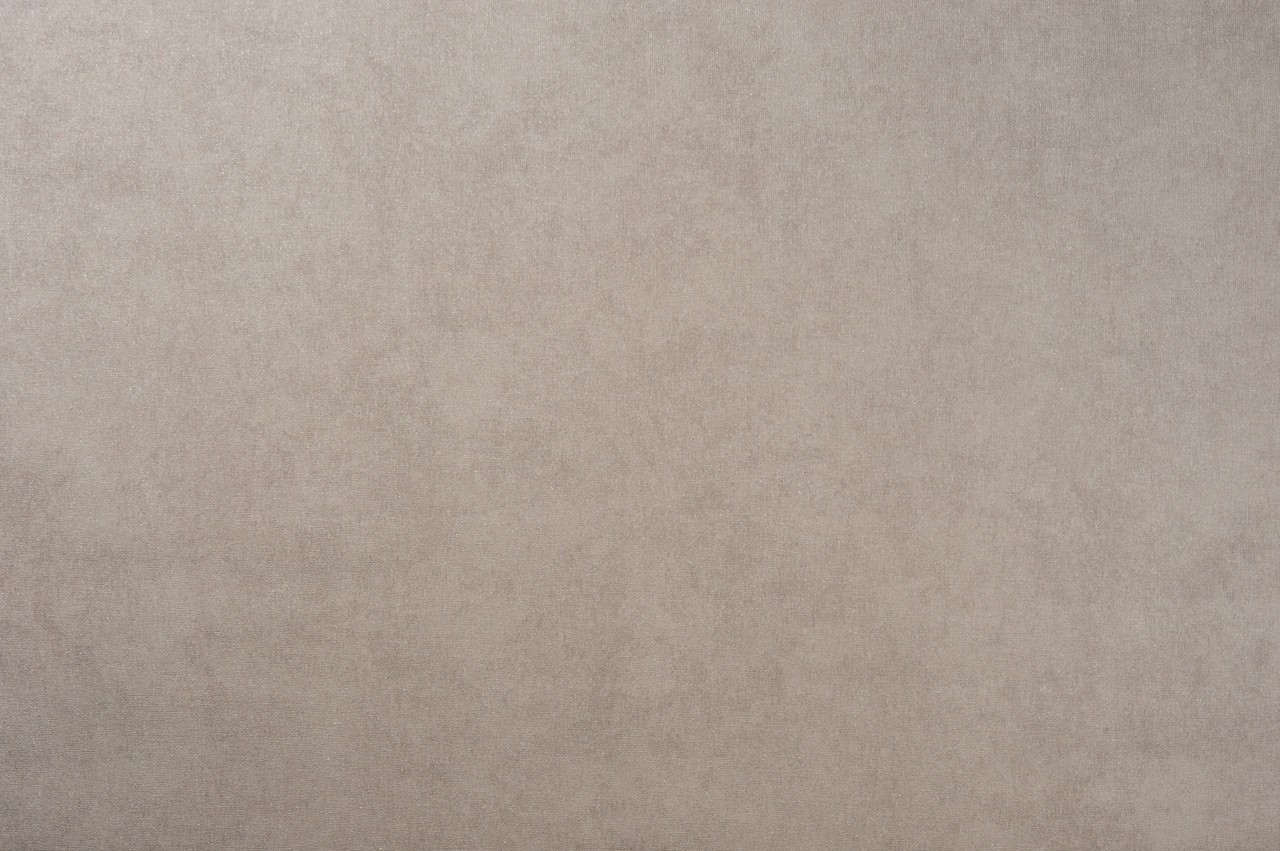 Hot Embossed wallpaper on Non-Woven Base Vinil Rima SHT 6-1565 Silver-Brown 10,05 x 1,06 m