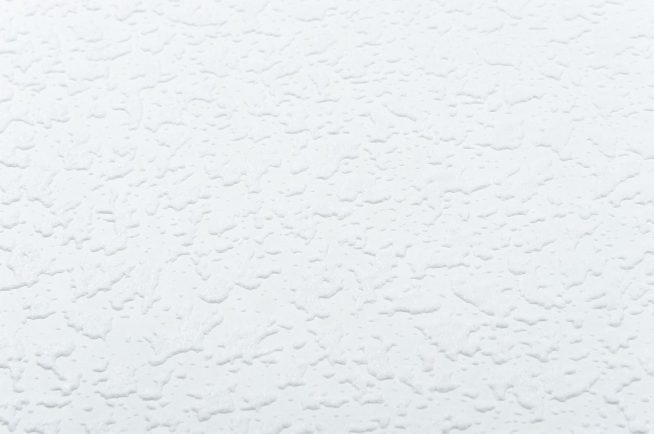 Vinyl Foam wallpaper on non-woven base Vinil Painted Wallpaper РЎ-83 White 25 x 1,06 m