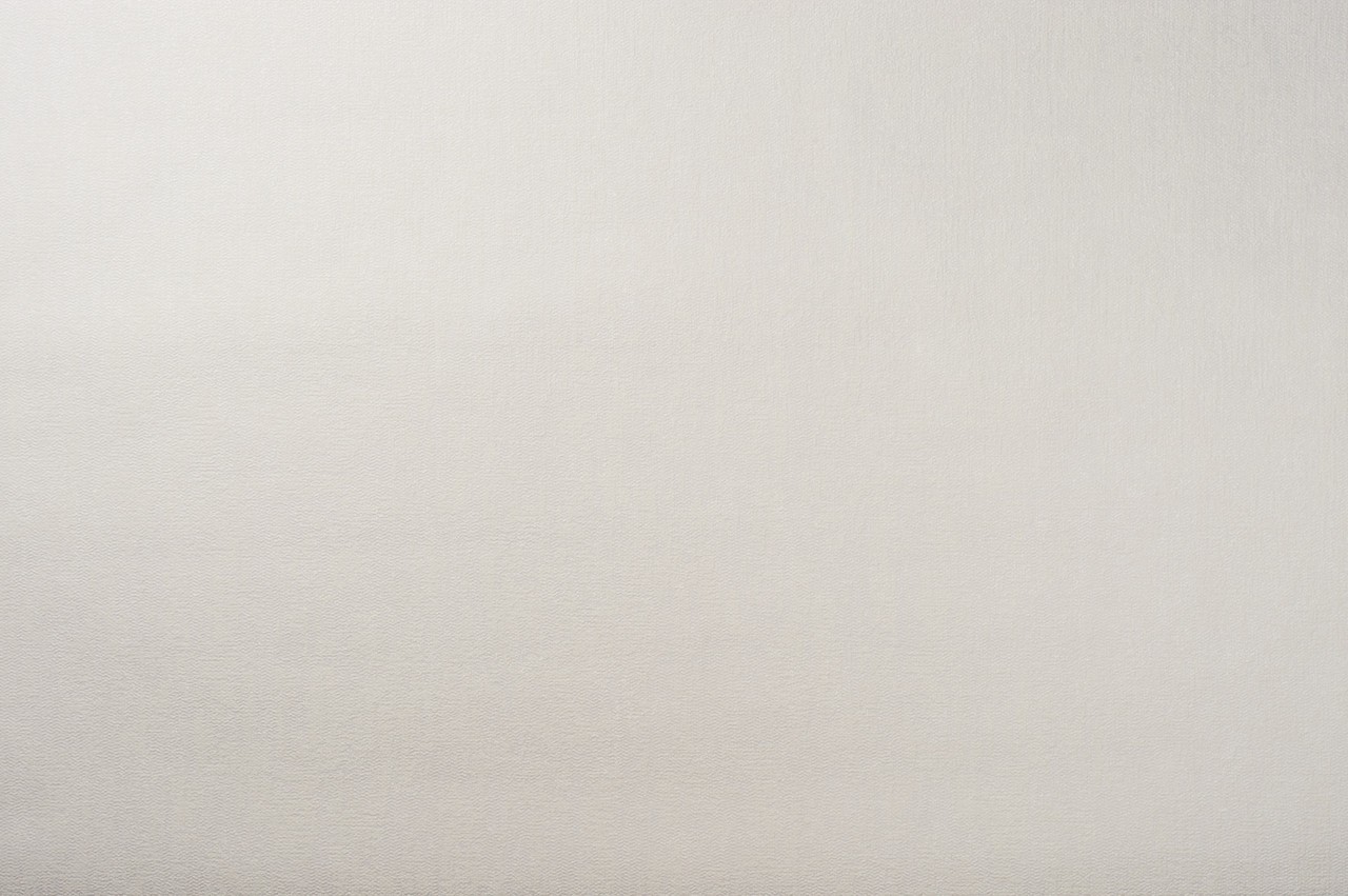 Vinyl Foam wallpaper on non-woven base Vinil Donna DHN-1429/2 Light-Beige 10,05 x 1,06 m