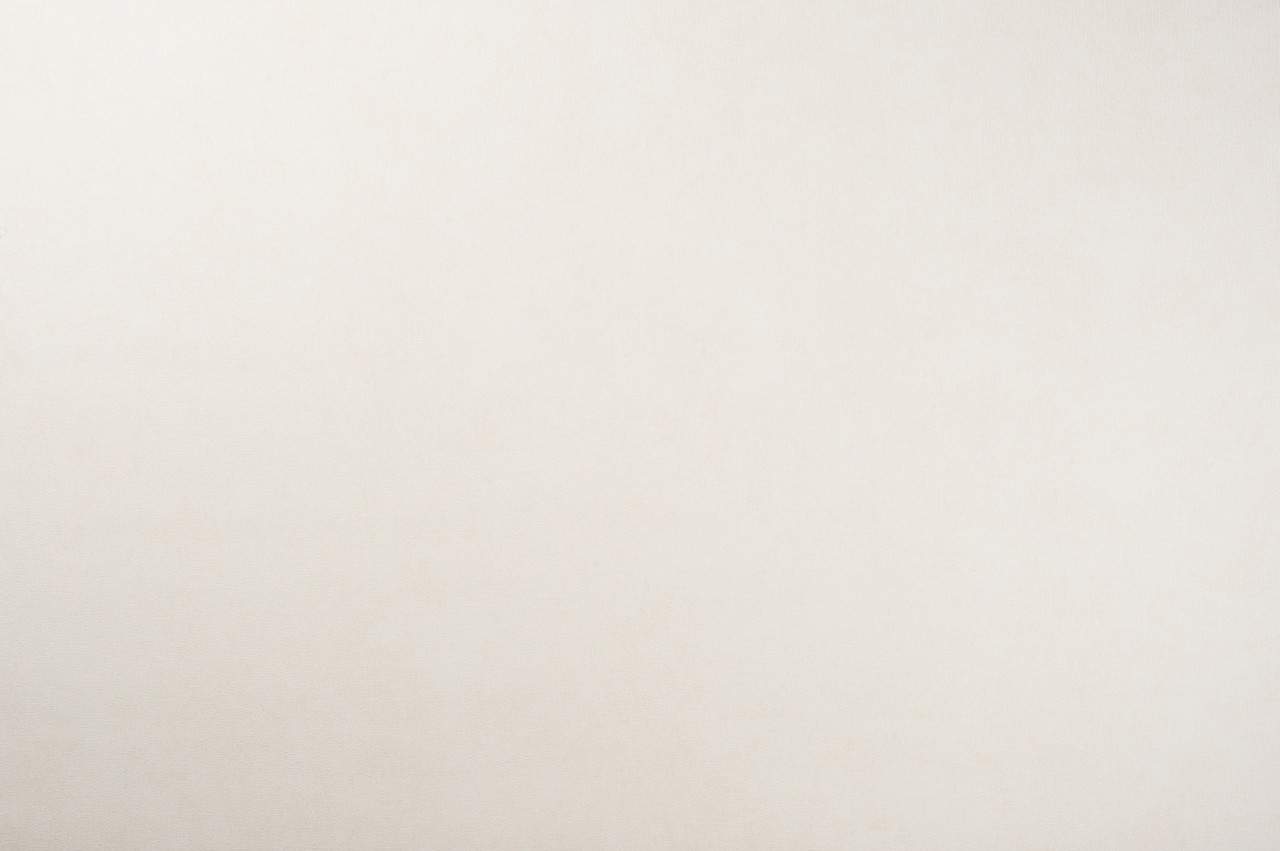 Hot Embossed wallpaper on Non-Woven Base Vinil Fringe SHT 2-1469 Warm-Beige 10,05 x 1,06 m