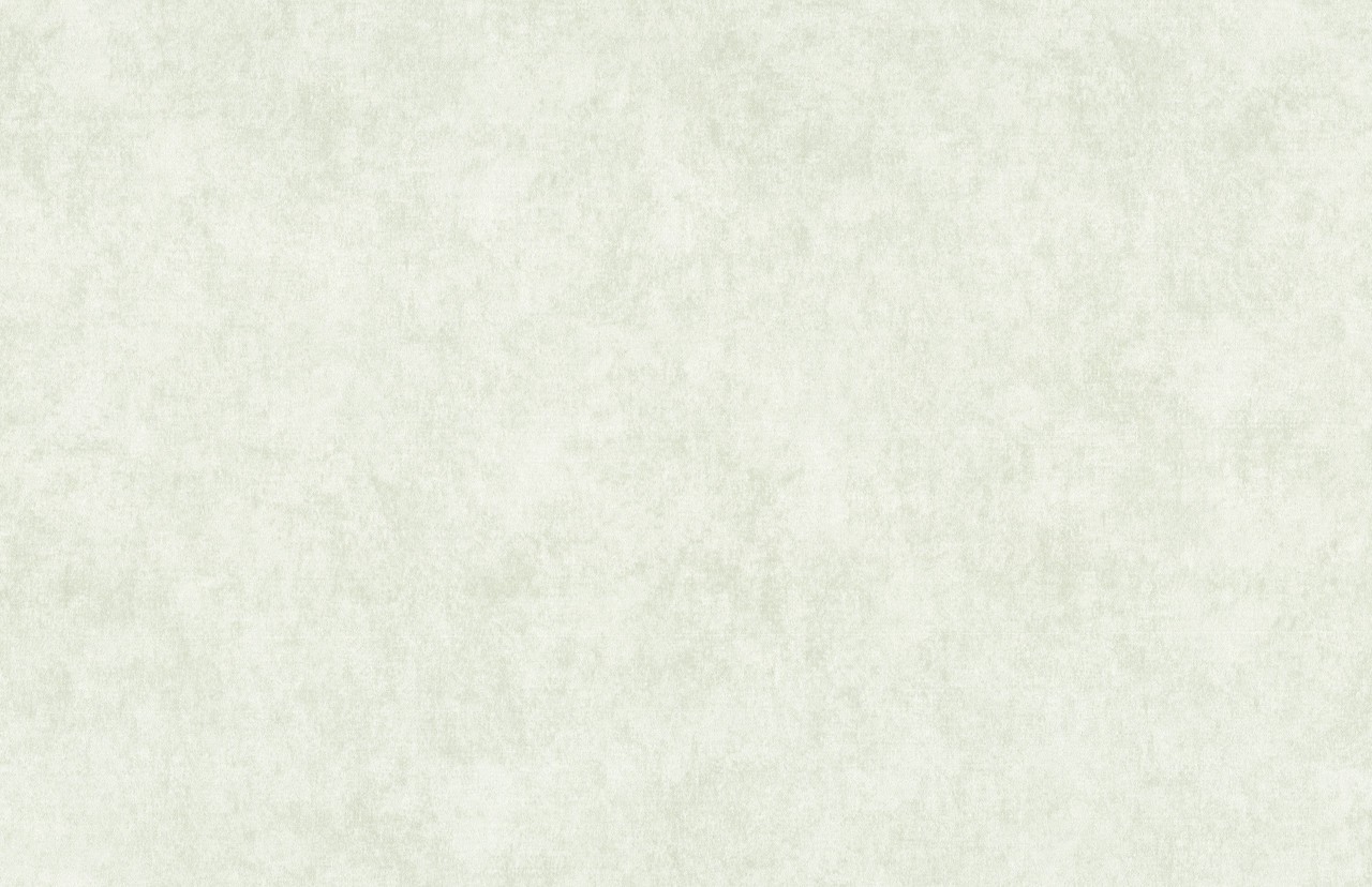 Hot Embossed wallpaper on Non-Woven Base Vinil Paradise SHT 1-1553 Light-Gray 10,05 x 1,06 m
