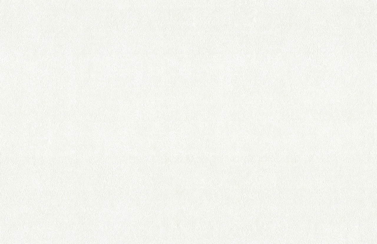 Hot Embossed wallpaper on Non-Woven Base Vinil Patchwork SHT 1-1564 White 10,05 x 1,06 m