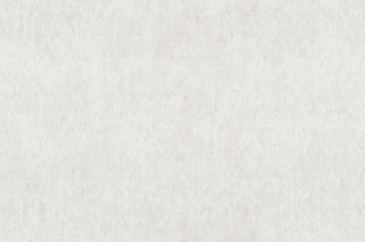 Hot Embossed wallpaper on Non-Woven Base Vinil Alanya VIP 2-1542 White 10,05 x 1,06 m
