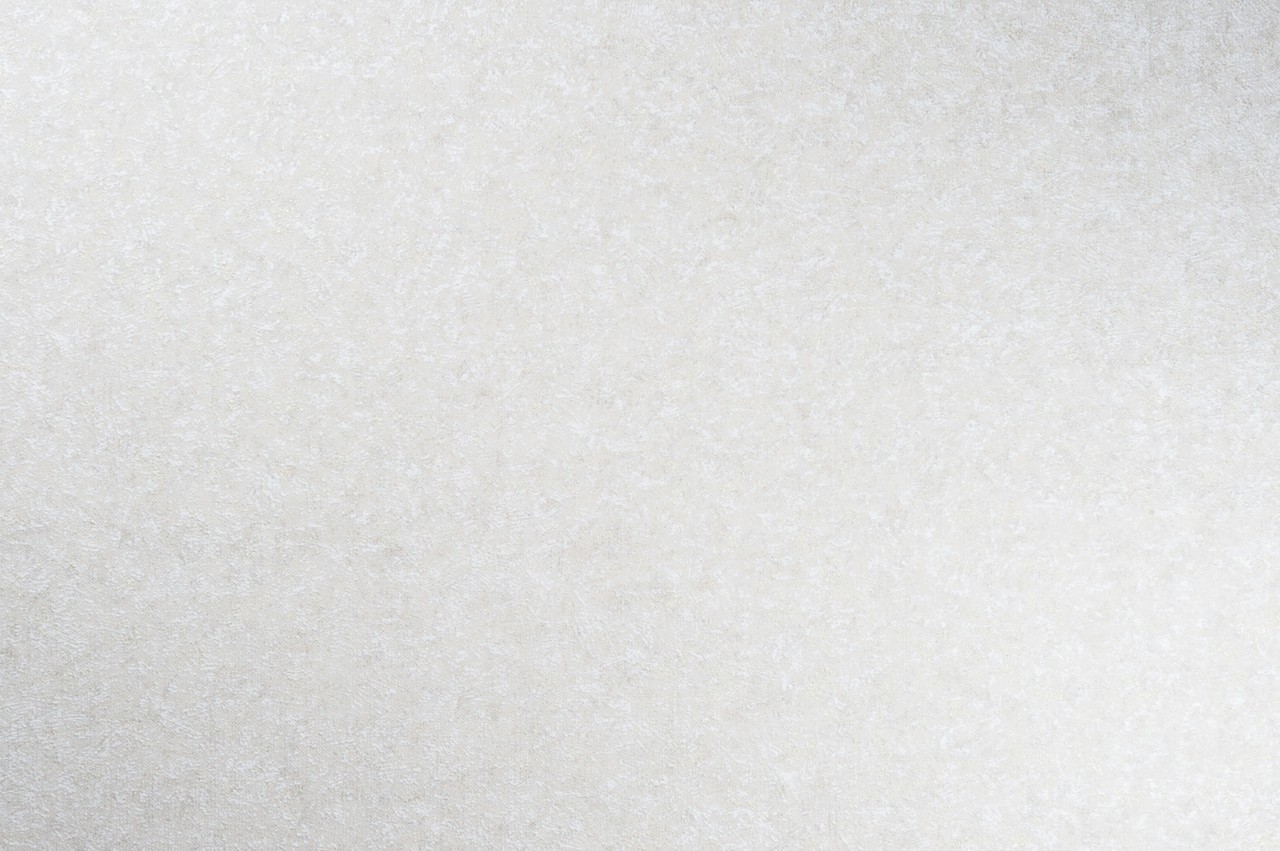 Vinyl Foam wallpaper on non-woven base Vinil Pure  DHS-1586/3 Light Green Gray (1,06С…10,05 m)