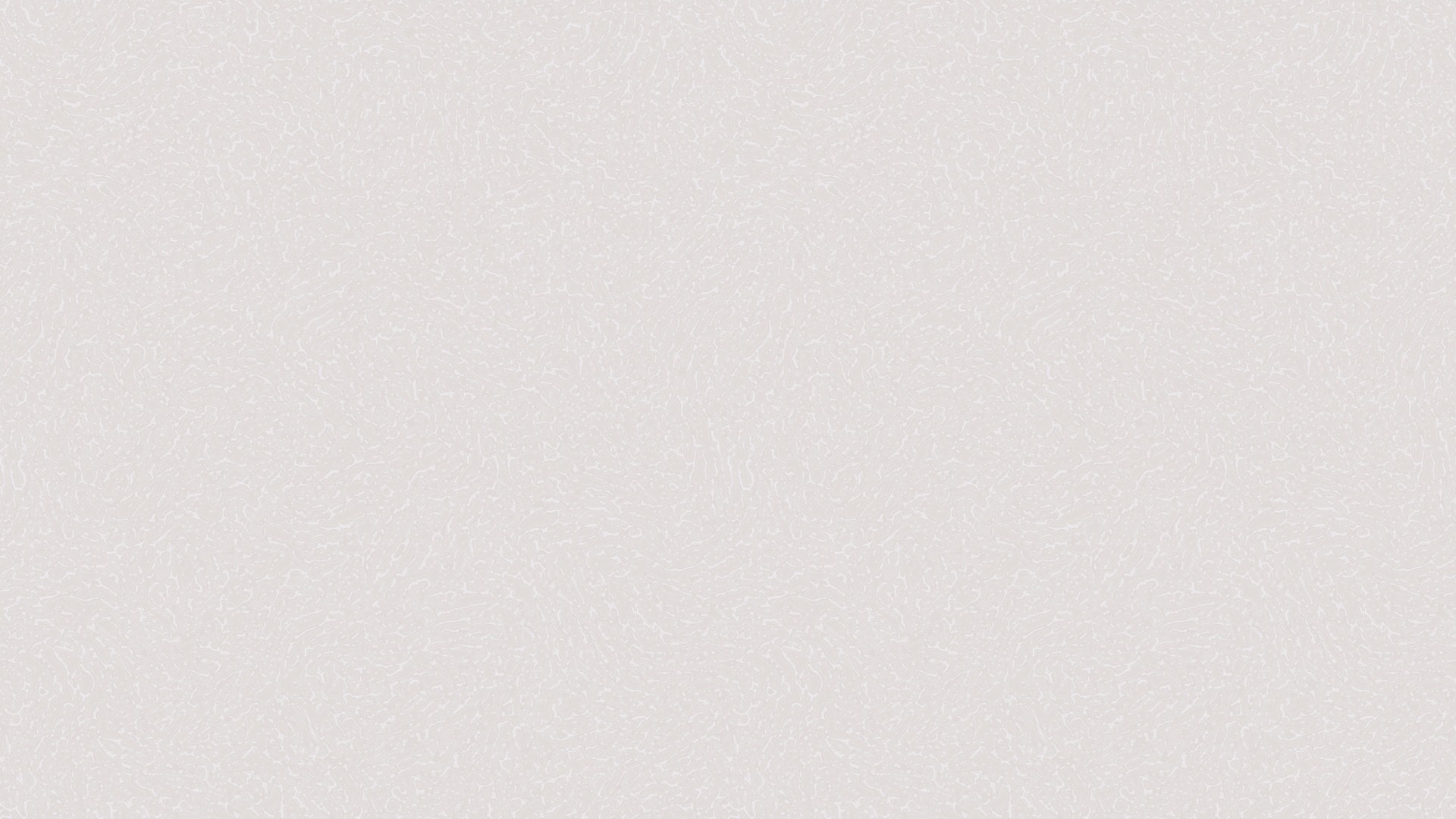 454831 (1,06)