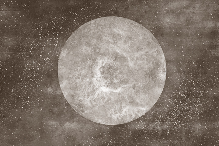 vns-1